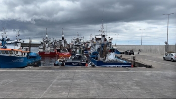 Frota atuneira manifesta-se no porto do Funchal na próxima 3.ª feira (áudio)