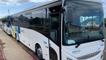 Nova rede de transportes públicos da Madeira na estrada a partir de segunda-feira