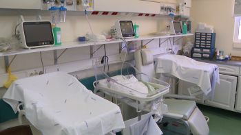 Serviço de Medicina Intensiva Neonatal tratou 164 crianças (vídeo)