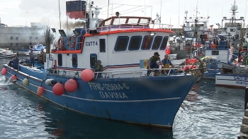 Aumento da quota do atum ou abate de barcos (vídeo)