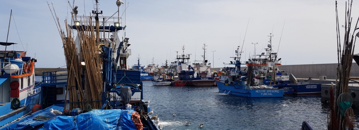 Atuneiros maiores com dificuldade em recrutar pescadores (vídeo)