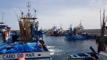 Armadores de pesca do atum não conseguiram apoios do Governo (áudio)