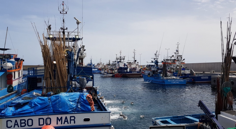 Imagem de Governo Regional apoia 23 armadores de pesca com 33 mil euros