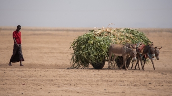 África sofreu quase 1.500 catástrofes naturais relacionadas com alterações climáticas