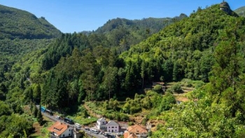 Madeira promove visitas guiadas à floresta Laurissilva (áudio)