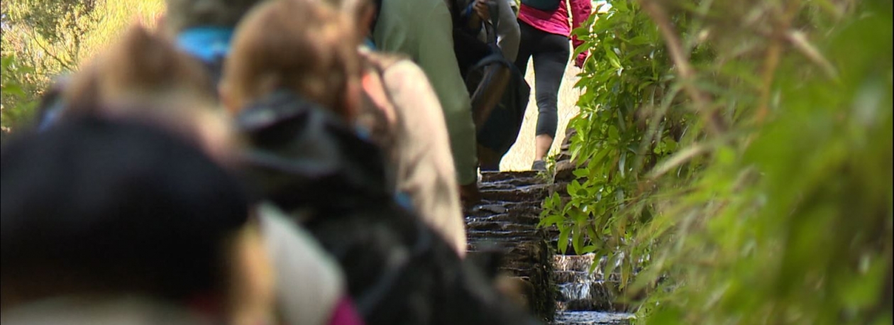 Imagem de Percursos pedestres classificados da Madeira reabrem amanhã