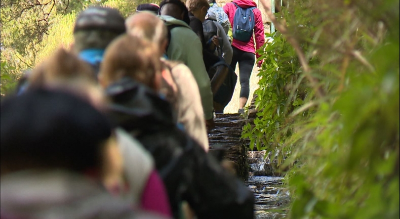 Imagem de Percursos pedestres classificados da Madeira reabrem amanhã