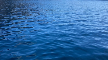 Alterações climáticas estão a aumentar a temperatura da água do mar (vídeo)