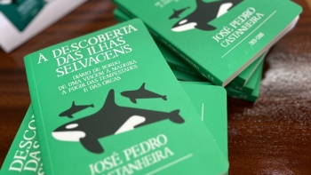 “É um luxo” Portugal ter integrado no território nacional as ilhas Selvagens (áudio)