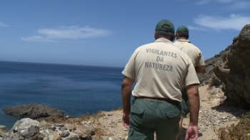 Vigilantes da Natureza continuam a exigir uma revisão da carreira (vídeo)