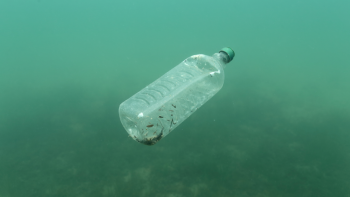 Mais de 5,5 milhões de toneladas de plástico entraram nos oceanos este ano