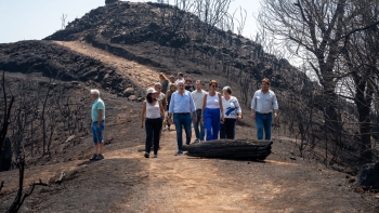 PS avança com comissão de inquérito e propõe legislação para a gestão florestal (áudio)