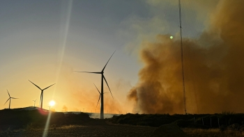 60 a 80% dos incêndios são provocados por negligência humana (áudio)