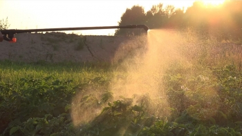 Projeto europeu de criação e desenvolvimento de um biopesticida (vídeo)