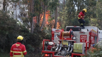 Incêndio na Madeira com três frentes ativas (vídeo)