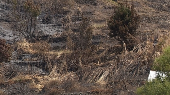 Imagem de Câmara apoia aquisição de tubagens de rega, ração e feno (vídeo)