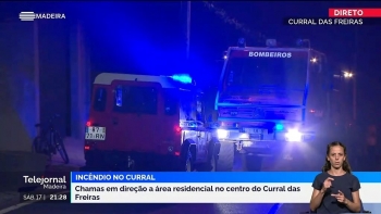 Câmara prepara defesa do Curral das Freiras (vídeo)