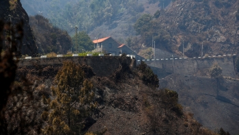 Madeira ficou negra no espaço de uma semana (vídeo)