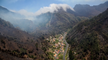 Oito mil hectares ardidos na Madeira (vídeo)