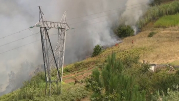 Imagem de Autoridades dizem que o incêndio na Madeira está dominado (vídeo)