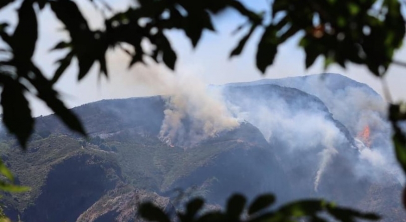 Fogo continua ativo e vai em direção ao Curral das Freiras