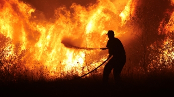 Martins pede isenção dos pagamentos à ARM nos concelhos afetados pelos incêndios (áudio)