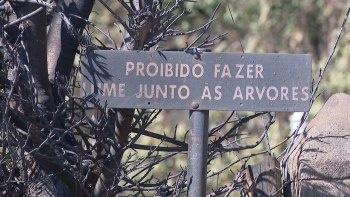 No Jardim Serra ardeu cerca de 80% da área da freguesia (vídeo)