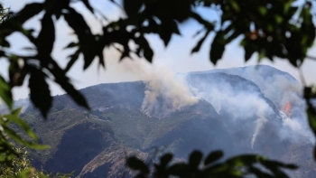 Populares associam incêndios à ausência do gado na serra (áudio)