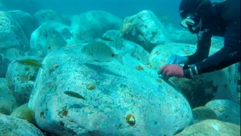 Apanha de lapa proibida na Madeira abril (vídeo)