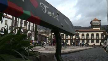 Petição contra estacionamento no Largo do Município (vídeo)