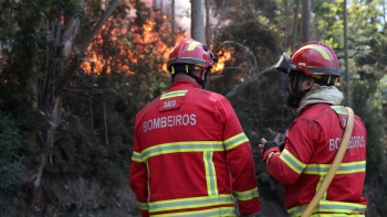 Solução está na prevenção combate é recurso vídeo)