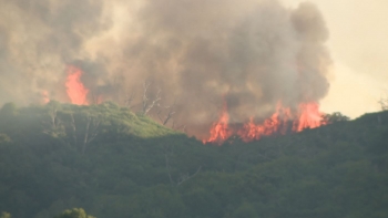 Mais incêndios depois da retirada do gado na serra (vídeo)