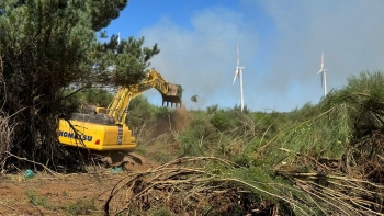 Máquinas abrem faixas corta fogo no Paul da Serra (vídeo)