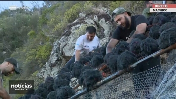 Imagem de Em defesa da tradição os fachos vão arder (vídeo)