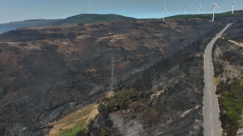 Área ardida na Madeira ultrapassa 5.000 hectares