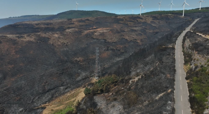 Área ardida na Madeira ultrapassa 5.000 hectares