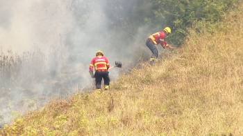 Sindicato disponibiliza equipa multidisciplinar para apoiar a Madeira (vídeo)