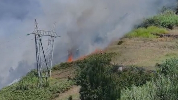 Imagem de Célia desmente anúncio da Proteção Civil (vídeo)