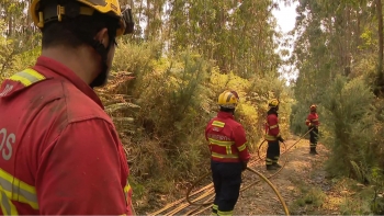 Autarcas admitem que faltaram meios no terreno (vídeo)