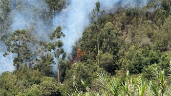 Incêndio aproxima-se das casas na Lombada (vídeo)