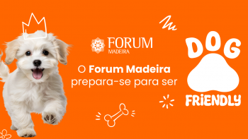 Forum Madeira passa a permitir entrada de cães de companhia (áudio)