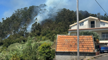 Canadair já realizaram dez descargas na Ponta do Sol (vídeo)