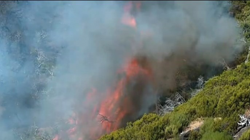 Portugal pediu ajuda à Europa para combater incêndios na Madeira (vídeo)