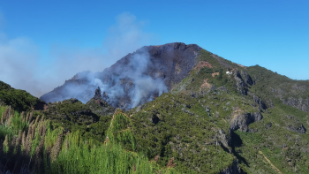 Chamas lavram em zona de difícil acesso no Pico Ruivo (vídeo)