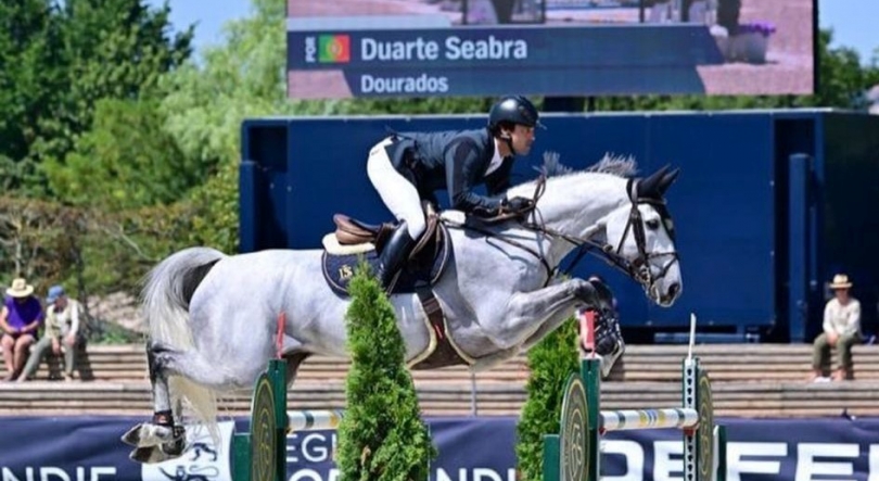 Cavaleiro Duarte Seabra falha final dos saltos de obstáculos