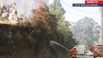 Fogo está aparentemente controlado na Fajã das Galinhas (vídeo)