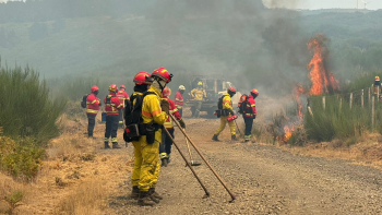 Bombeiros criam faixas corta-fogo no Paul da Serra (vídeo)