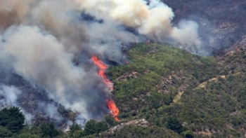 AGIF disponível para integrar Madeira no plano nacional de gestão de fogos