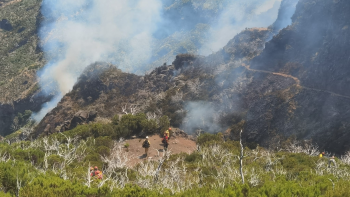 Fogo intensificou no Pico Ruivo (vídeo)