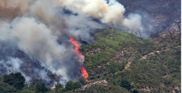 AGIF disponível para integrar Madeira no plano nacional de gestão de fogos